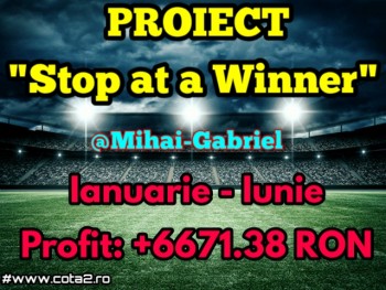 Proiect "Stop at a Winner" - Mihai Gabriel (Iulie - August)